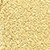 GALLANT GOLD